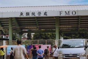 Hongkong: Privat tur i geoparken