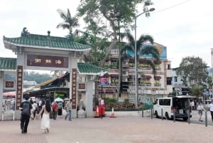 Hongkong: Privat tur i geoparken