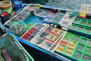 Hongkong: Privat tur i geoparken