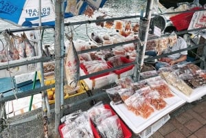 Hongkong: Privat tur i geoparken