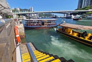 Hong Kong: Sampan Houseboat & Stanley Hop-on, Hop-off Tour