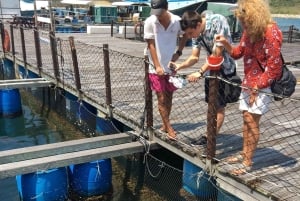 Hongkong: Sampan-tur, Lamma Island og frokost med fisk og skaldyr