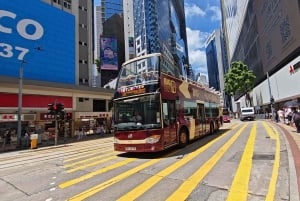 Hong Kong: sky100 Observation Deck & Hop-on, Hop-off Bus