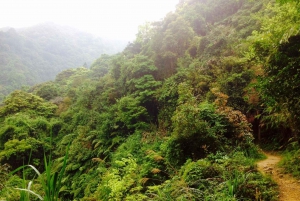 Vandretur til Tai Mo Shan-vandfaldet