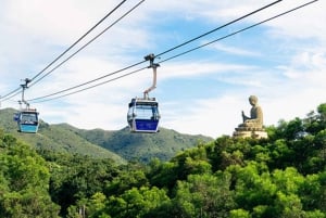 HK: Lantau tour with cable car, Tai O, Dolphin watching