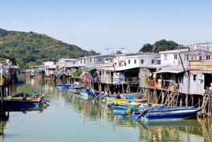 HK: Lantau tour with cable car, Tai O, Dolphin watching