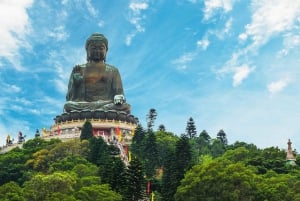 HK: Lantau tour with cable car, Tai O, Dolphin watching
