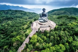 HK: Lantau tour with cable car, Tai O, Dolphin watching