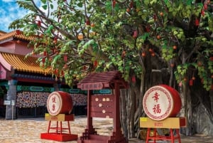 HK: Lantau tour with cable car, Tai O, Dolphin watching