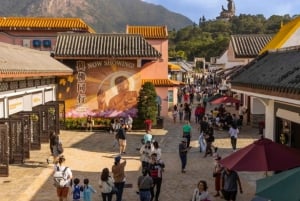 HK: Lantau tour with cable car, Tai O, Dolphin watching