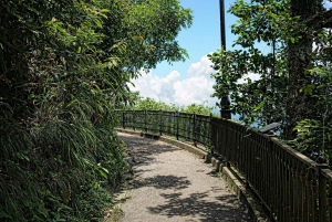 Hong Kong: Victoria Peak Unveiled Self-Guided Audio Tour