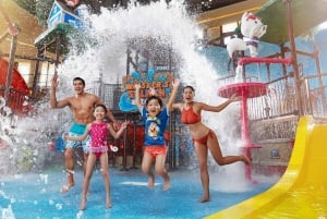 Hong Kong: toegangsbewijs voor Water World met optie voor voorrangstoegang