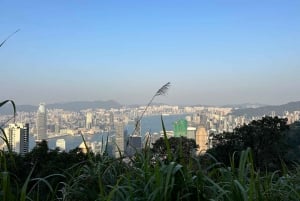 Hongkong: zwiedzanie świątyni Wong Tai Sin i Portu Wiktorii