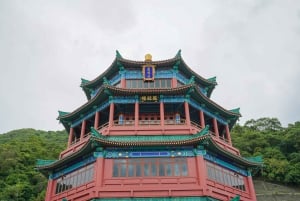 Hongkong: Wielki Budda i wycieczka na wyspę Lantau z kolejką linową