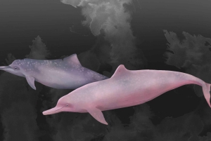 Dagstur til Lantau Island - besøk til landemerker