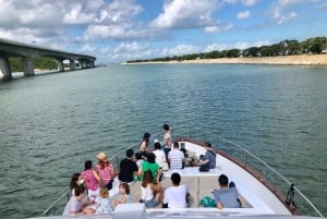 Île de Lantau : observation des dauphins roses depuis Hong Kong