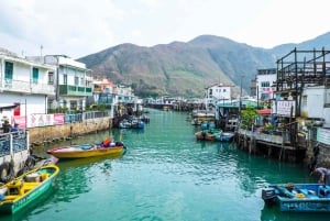 Lantau Island Tour - like a local (w/licensed Guide)