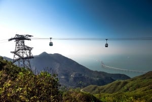 Lantau: Ngong Ping linbana Privat Skip-the-Line biljett