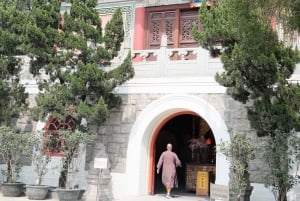 Lantau: Biglietto privato di ingresso prioritario per la funivia di Ngong Ping
