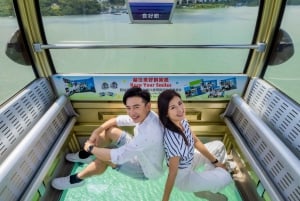 Lantau: Prywatny bilet na kolejkę linową Ngong Ping z pominięciem kolejki