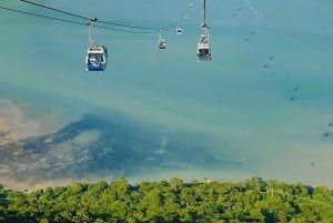 Ngong Ping Cable Car Ride and Tai O Village Afternoon Tour