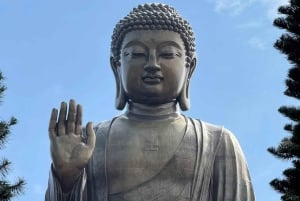 Ngong Ping Cable Car Ride and Tai O Village Afternoon Tour