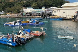 Ngong Ping Cable Car Ride and Tai O Village Afternoon Tour