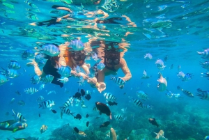Nha Trang: Hon Mun Island Marine Park Snorkeling & Mud Bath