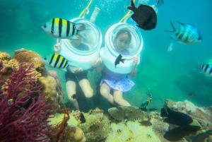 Nha Trang: Hon Mun Island Marine Park Snorkeling & Mud Bath