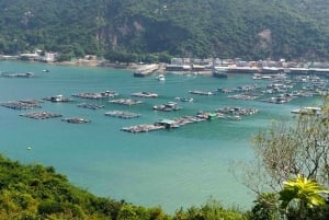 Hongkong: Wycieczka piesza na wyspę Lamma z lunchem