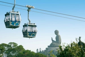 Premium Lantau Tour with Cable Car tickets & English Guide