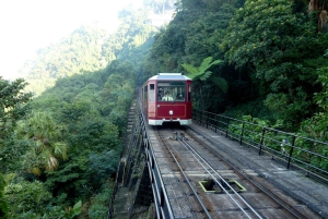 Private Full-Day Hong Kong Island Top Attraction Tour