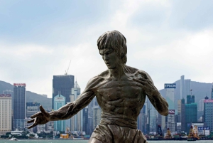 Private Full-Day Hong Kong Island Top Attraction Tour
