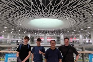 Prywatna jednodniowa wycieczka do Shenzhen z Hongkongu