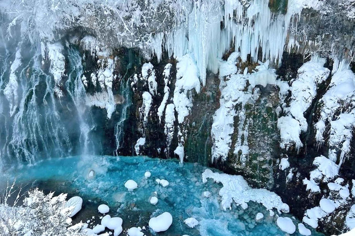 Sapporo: Asahiyama Zoo, vandfald og Blue Pond-tur