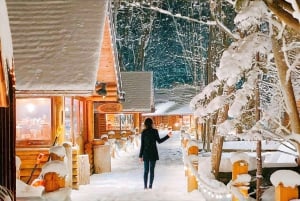 Sapporo: Asahiyama Zoo, vandfald og Blue Pond-tur