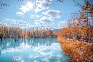 Sapporo: Asahiyama Zoo, vandfald og Blue Pond-tur