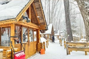 Sapporo: Asahiyama Zoo, vandfald og Blue Pond-tur