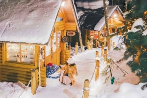 Sapporo: Asahiyama Zoo, vandfald og Blue Pond-tur