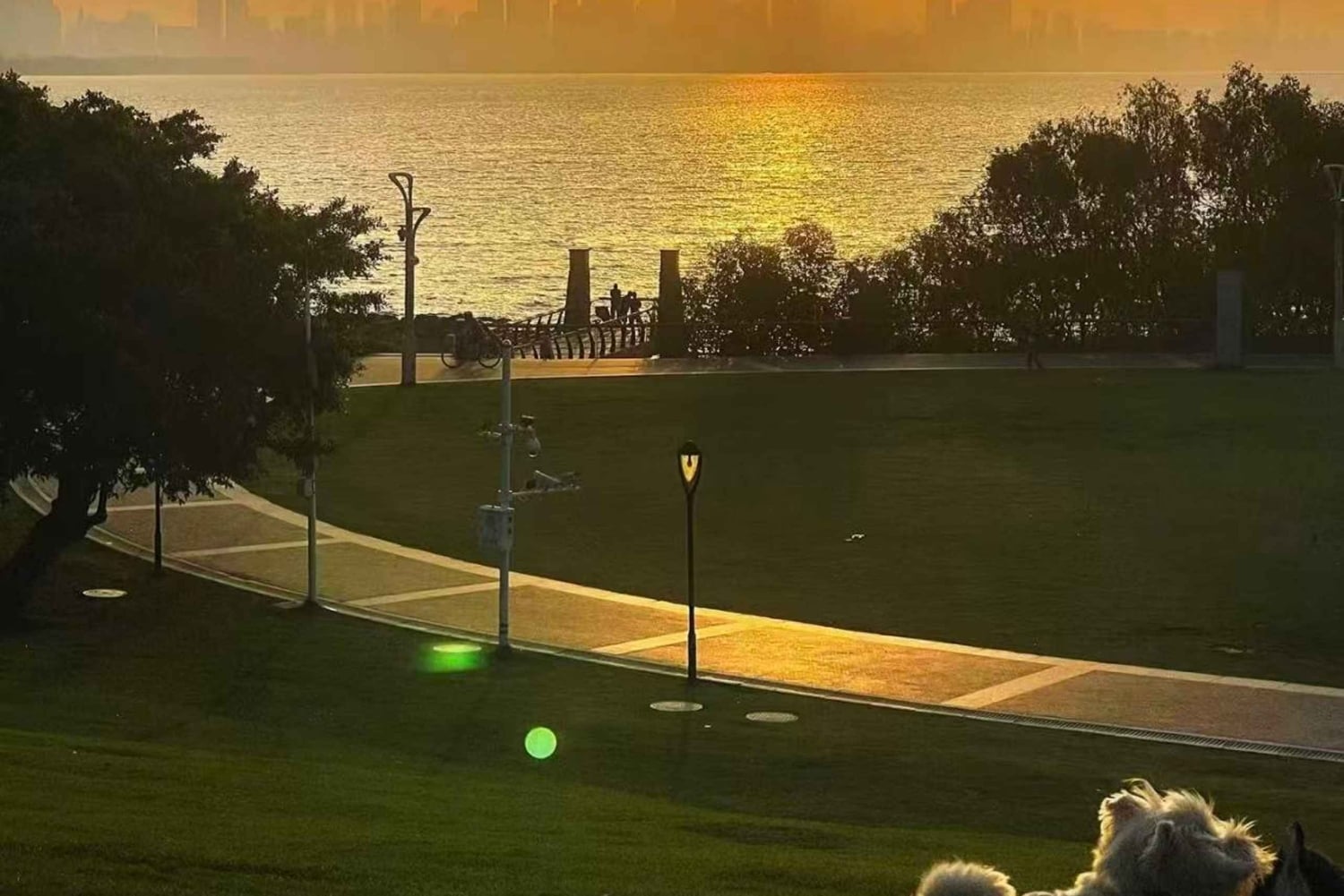 Shenzhen: Bay Park and Talent Park Guided Bike Tour