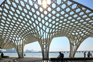 Shenzhen: Bay Park and Talent Park Guided Bike Tour