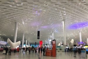 Tour privato di Shenzhen come vuoi tu
