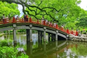 スペシャル：別府温泉日帰りツアー（九州大分）温泉街自由時間