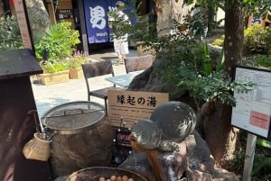 スペシャル：別府温泉日帰りツアー（九州大分）温泉街自由時間