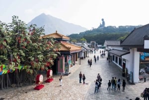 Hong Kong: Tai O, Ngong Ping 360, & Big Buddha Heritage Tour