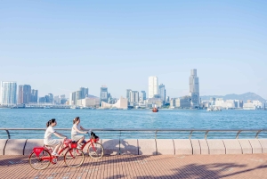 Victoria Harbour Shoreline Half-Day Leisure Bike Tour