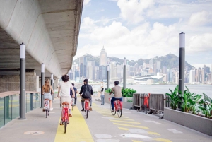 Victoria Harbour Shoreline Half-Day Leisure Bike Tour