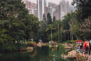 Welcome to Hong Kong: Private Tour with a Local