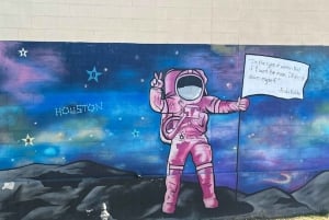 Houston: Driving Tour & NASA Space Center Ticket/Transport