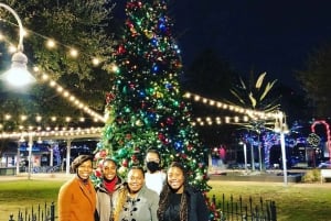 Houston: Astroville culinaire tour door het centrum van Houston